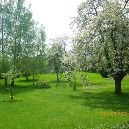Entre Thur Et Montagne Bed & Breakfast Willer-sur-Thur ภายนอก รูปภาพ
